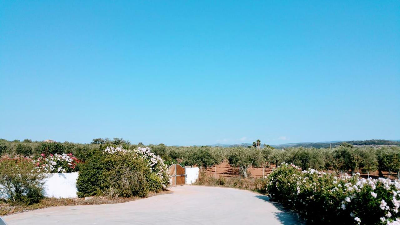 Villa Rafael Con Piscina, Iun P4098 ألغيرو المظهر الخارجي الصورة